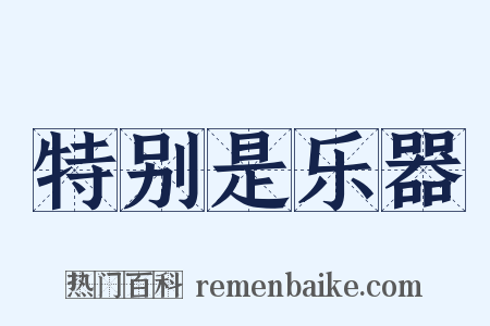 特别是乐器是什么意思的图片